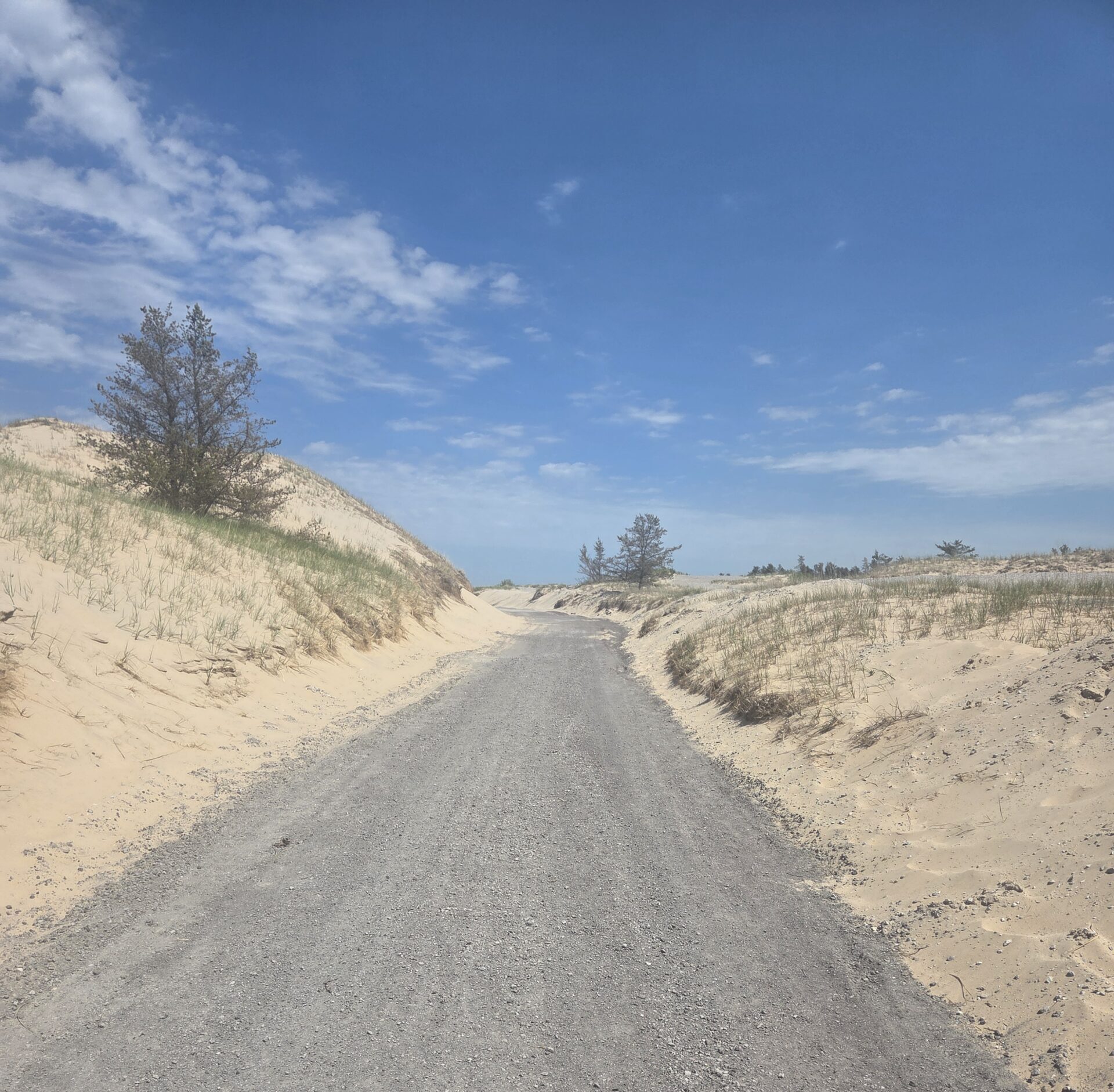 9567 (1) A gravel path runs between sandy dunes with sparse grass and a few trees, beneath a blue sky with scattered clouds.